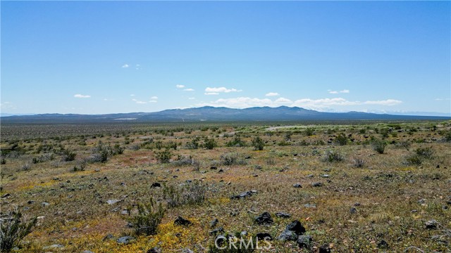 Detail Gallery Image 2 of 16 For 2 Miles, Adelanto,  CA 92301 - – Beds | – Baths