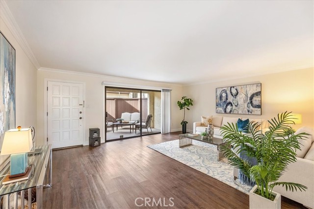 Living room, open, and viewed from dining area