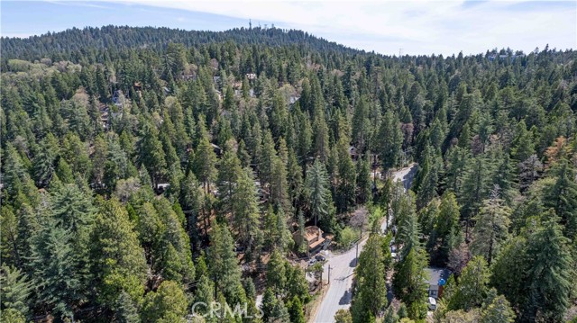 Detail Gallery Image 19 of 26 For 26131 Lake Forest Dr, Twin Peaks,  CA 92391 - 3 Beds | 3 Baths