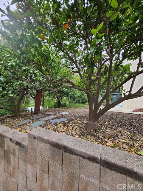 Detail Gallery Image 40 of 48 For 26349 Hillcrest Ave, Lomita,  CA 90717 - 5 Beds | 2 Baths