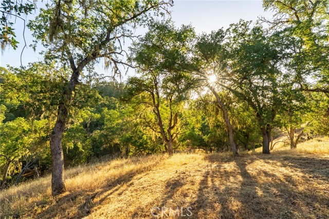 Detail Gallery Image 52 of 75 For 5145 Northfork Pl, Paso Robles,  CA 93446 - 4 Beds | 2 Baths