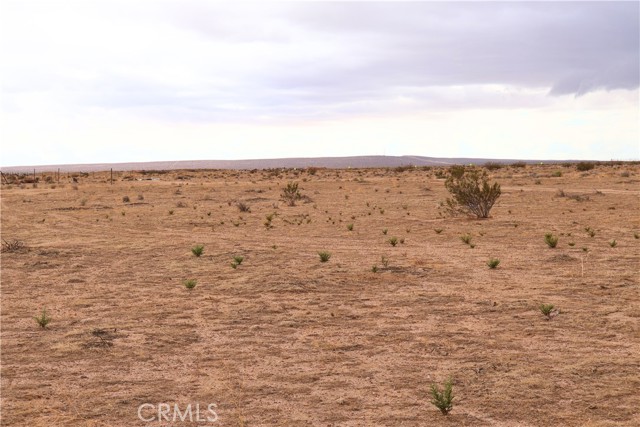 0 Forest Boulevard, California City CA: https://media.crmls.org/medias/a38e9b73-c0f7-4403-aeb6-e5f00da8d0ce.jpg