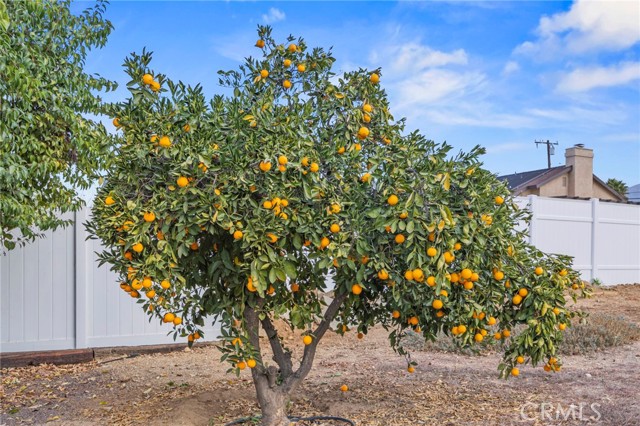 Detail Gallery Image 35 of 40 For 12806 7th St, Yucaipa,  CA 92399 - 3 Beds | 2 Baths