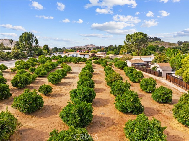 Detail Gallery Image 38 of 47 For 24472 Cornstalk Rd, Wildomar,  CA 92595 - 2 Beds | 2 Baths