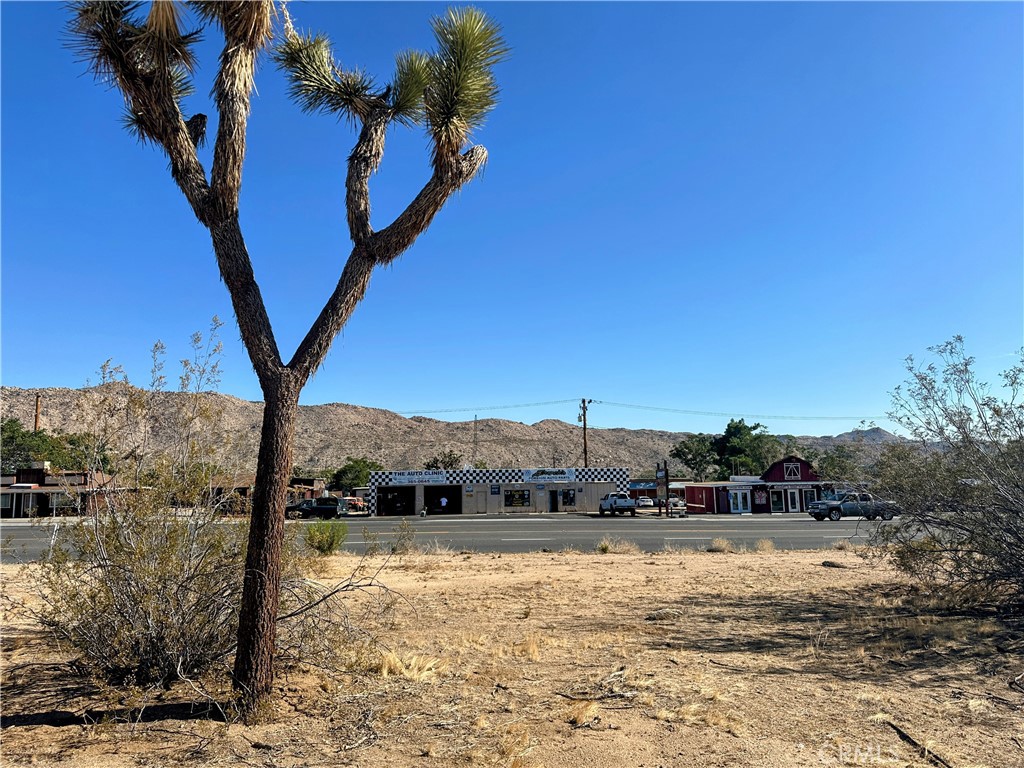 MLS #JT25176683 image #3