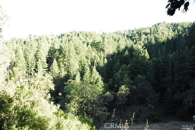 Detail Gallery Image 9 of 9 For 8555 Cave Creek Rd, Redwood Valley,  CA 95470 - 2 Beds | 2 Baths