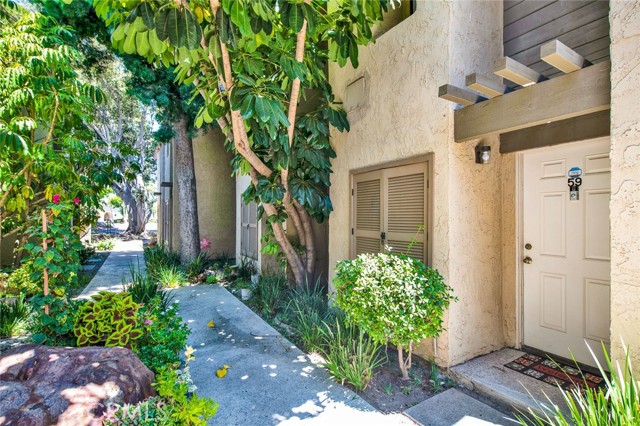 Detail Gallery Image 1 of 1 For 4900 E Chapman Ave #59,  Orange,  CA 92869 - 1 Beds | 1 Baths