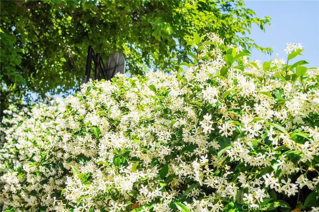 https://media.crmls.org/medias/a3b728af-989d-4c78-8508-58356487987f.jpg?preset=X-Large
