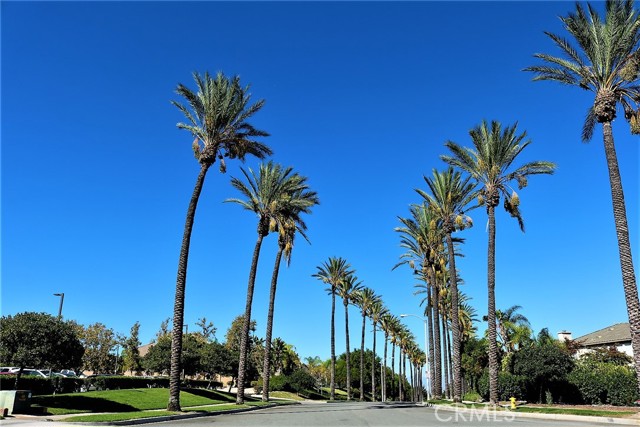 Image 57 of 58 For 4351 Edenwild