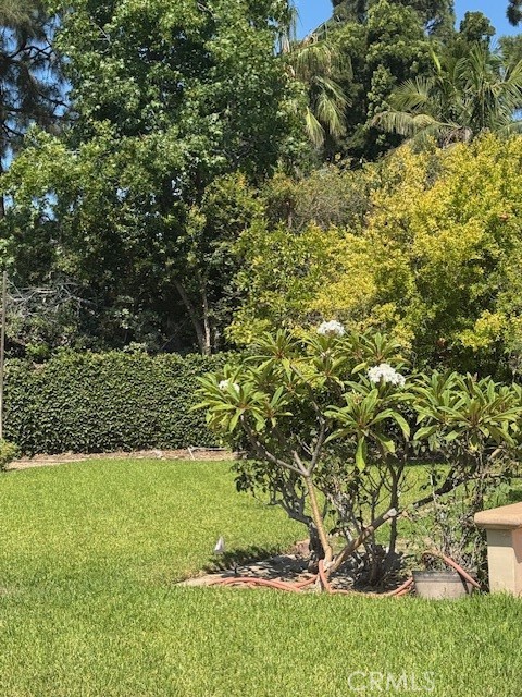 A3be10fa F9e0 495e 9e3f Bfae9629e1e7