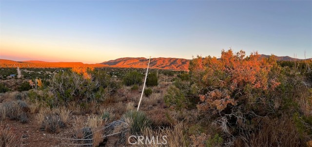 Detail Gallery Image 69 of 75 For 0 Vac/Vic Avenue Z/Vic 195 Ste, Llano,  CA 93544 - – Beds | – Baths