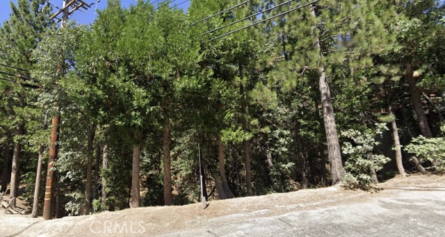 161 GOLF COURSE RD, Lake Arrowhead CA: https://media.crmls.org/medias/a3c8a5d0-ad7c-4222-8246-412710c4ad79.jpg