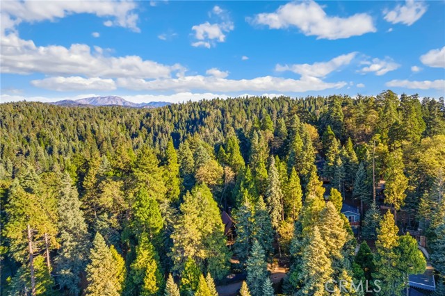 641 Buckingham, Lake Arrowhead, CA 92385