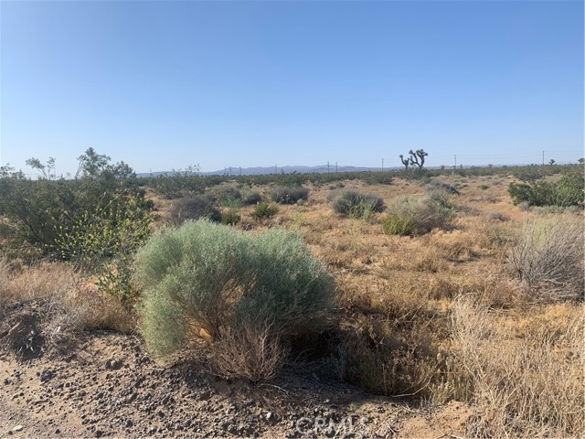 Detail Gallery Image 21 of 24 For 0 Violet Rd, Adelanto,  CA 92301 - – Beds | – Baths