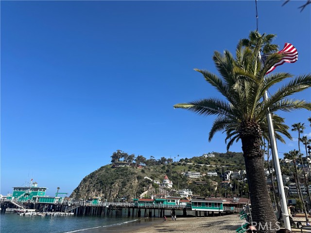 Detail Gallery Image 21 of 35 For 352 354 Eucalyptus, Avalon,  CA 90704 - – Beds | – Baths