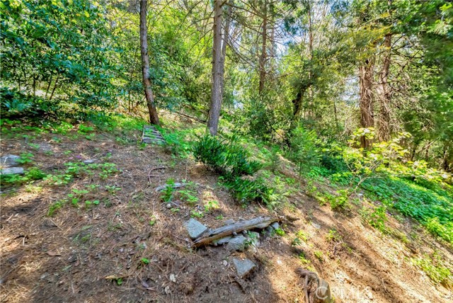 Detail Gallery Image 10 of 46 For 828 Fern Dr, Crestline,  CA 92325 - 2 Beds | 1/1 Baths