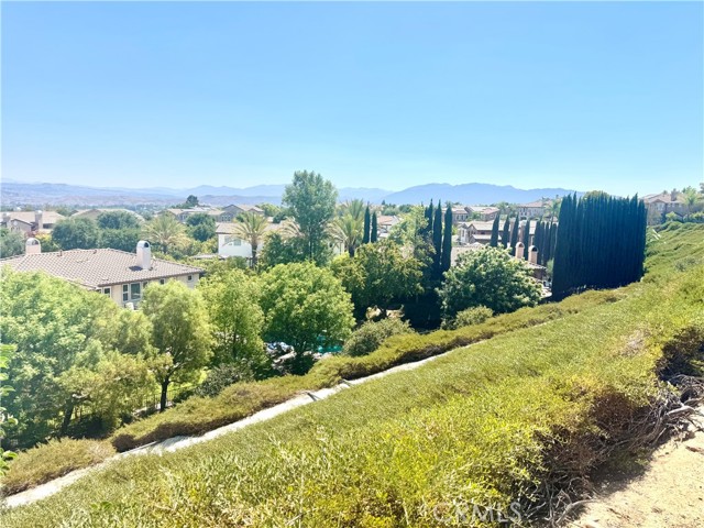 26480 Valley Oak Lane, Valencia CA: https://media.crmls.org/medias/a3da6658-47bc-4d16-bba7-efd8074eb4f9.jpg