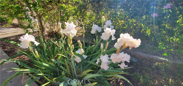 13125 Bly Avenue, Paskenta CA: https://media.crmls.org/medias/a3e08408-cbe1-4f38-8407-9dcaedce7b1d.jpg