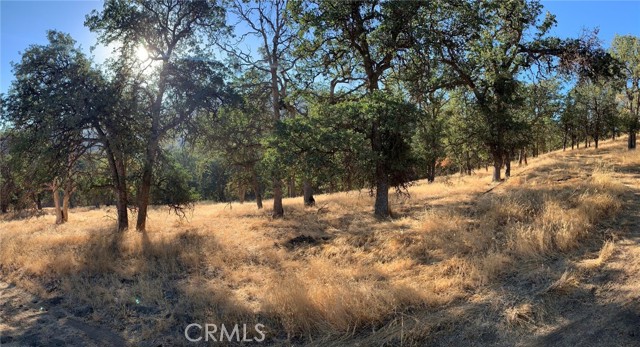 Detail Gallery Image 67 of 67 For 29670 Skyline Dr, Tehachapi,  CA 93561 - 6 Beds | 3/1 Baths
