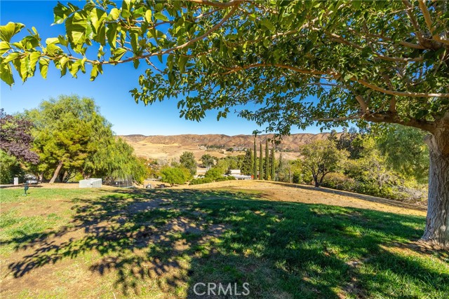 Detail Gallery Image 40 of 62 For 10010 Leona Ave, Leona Valley,  CA 93551 - 4 Beds | 3 Baths