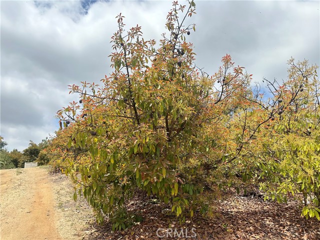 Detail Gallery Image 26 of 32 For 0 Stone Creek Rd., Temecula,  CA 92590 - – Beds | – Baths