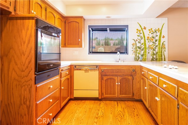 Kitchen with Hand painted art deco wall mural