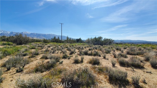 Detail Gallery Image 22 of 31 For 0 123rd St East Near Ave X8, –,  CA 93553 - – Beds | – Baths