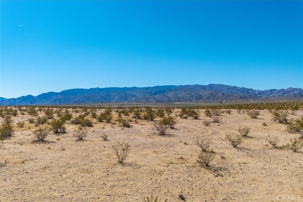 MLS #JT25225678 image #8