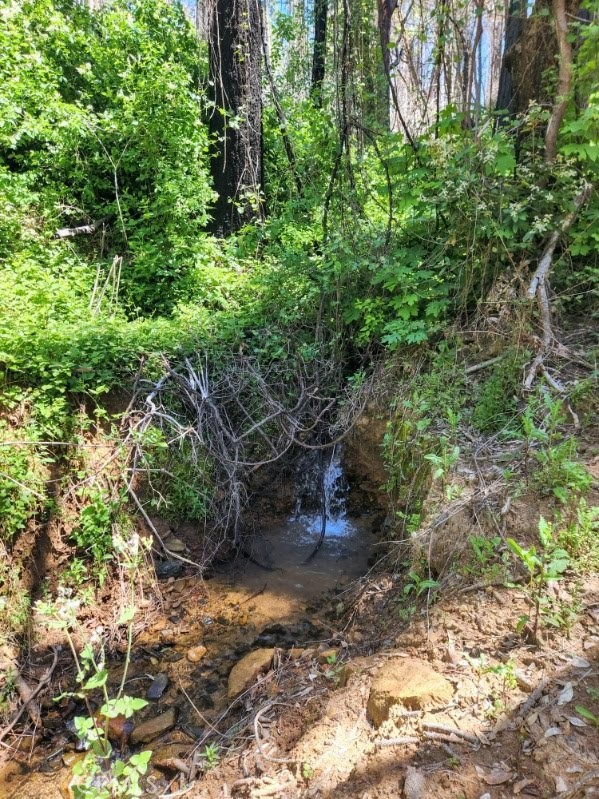 Detail Gallery Image 42 of 44 For 11691 Oro Quincy Hwy, Berry Creek,  CA 95916 - 2 Beds | 1 Baths