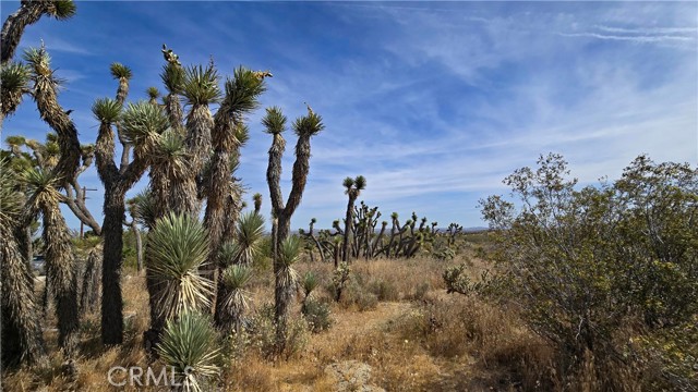 Detail Gallery Image 10 of 49 For 0 103rd St East Vicinity W14, –,  CA 93543 - – Beds | – Baths