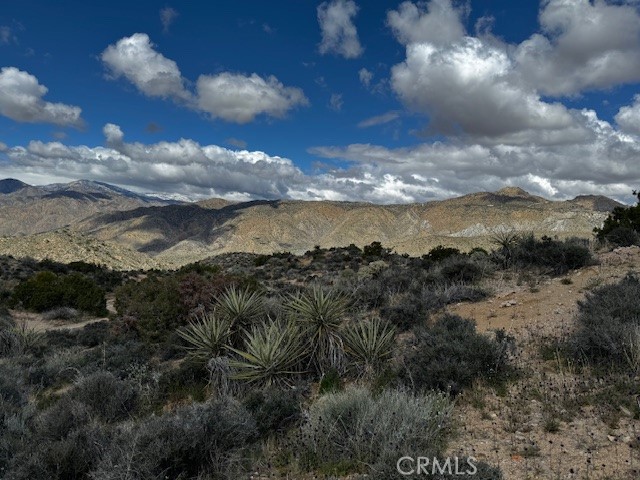 MLS #JT25188299 image #3