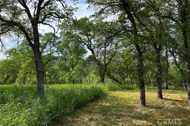 Detail Gallery Image 25 of 26 For 16475 River Heights Dr, Red Bluff,  CA 96080 - – Beds | – Baths