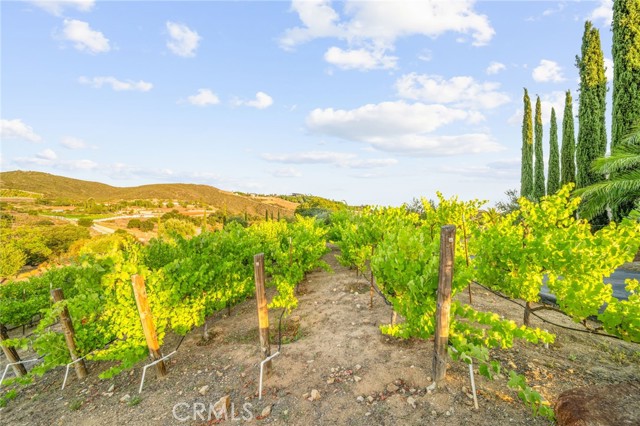 37654 Calle De Lobo, Murrieta CA: https://media.crmls.org/medias/a40d4be1-c19f-4d22-8cc7-ad8194c38021.jpg
