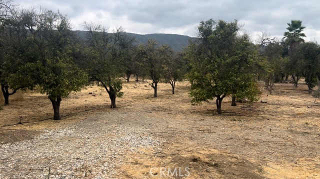 Detail Gallery Image 11 of 14 For 544 Gorham Rd, Ojai,  CA 93023 - 3 Beds | 2 Baths