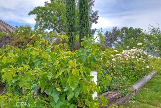 Detail Gallery Image 15 of 62 For 38830 Mesa Rd, Temecula,  CA 92592 - 6 Beds | 4/1 Baths