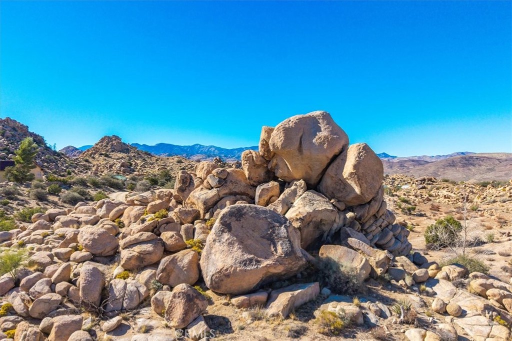 MLS #JT25250010 image #5