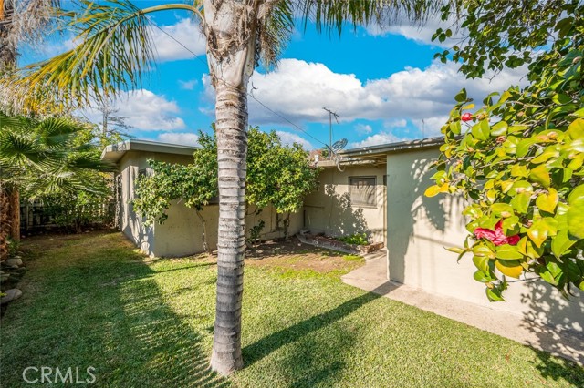 Middle Unit, private back yard.