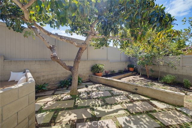 Mature fruit trees Avocado, Apple & Guava in back