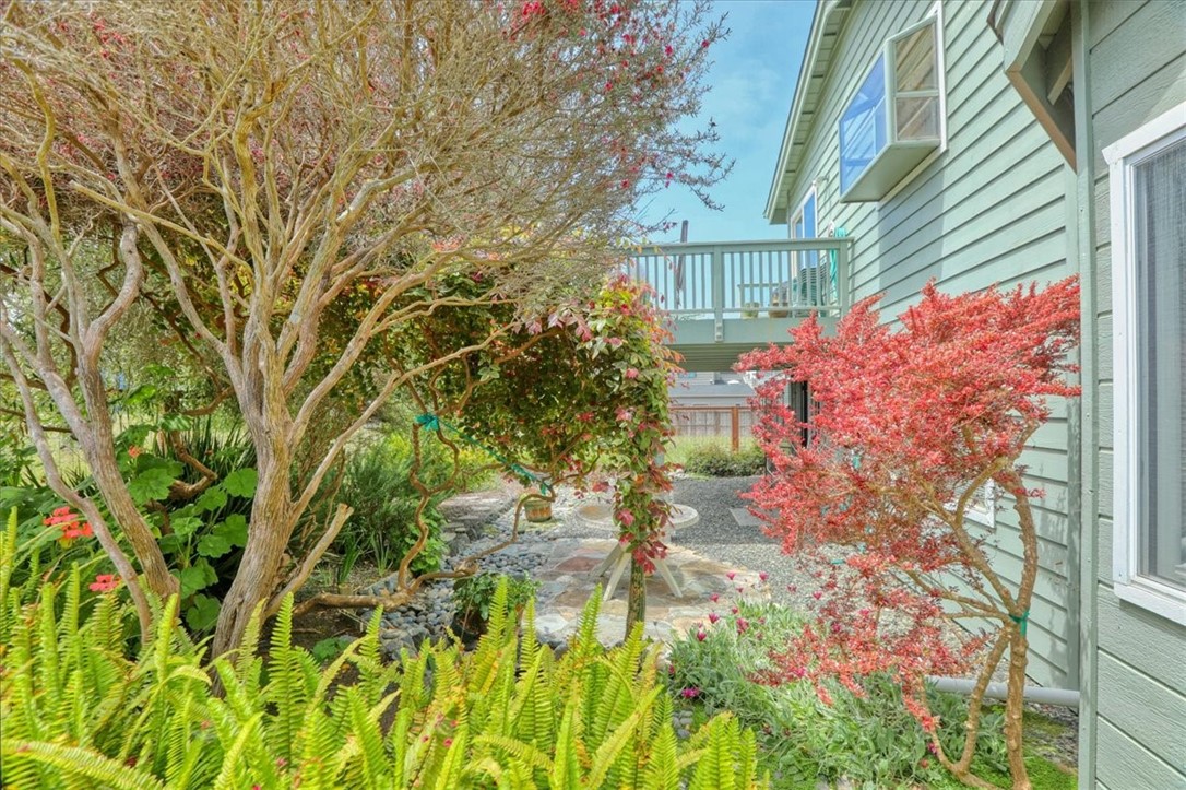 Detail Gallery Image 51 of 60 For 320 Jean Street, Cambria,  CA 93428 - 3 Beds | 2/1 Baths