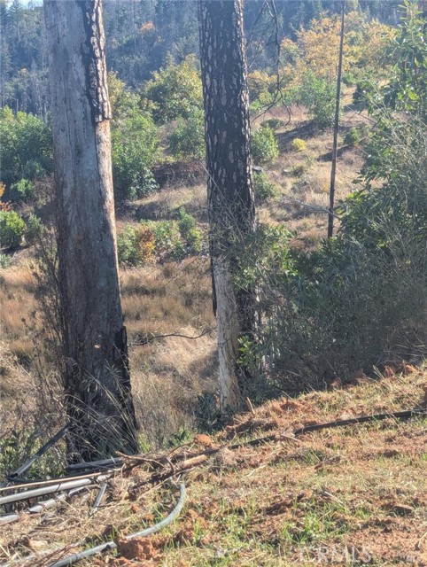 Detail Gallery Image 21 of 38 For 1833 Hunter Point Rd, Upper Lake,  CA 95485 - – Beds | – Baths