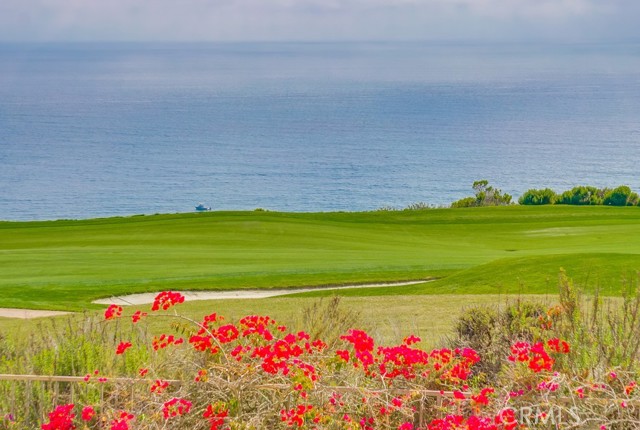 3200 La Rotonda Drive, Rancho Palos Verdes CA: https://media.crmls.org/medias/a4280bee-79ec-473c-a7a7-219a69c7dfba.jpg