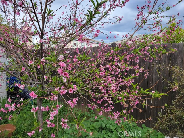 Detail Gallery Image 2 of 8 For 16638 Shuning Ct, Moreno Valley,  CA 92551 - 4 Beds | 3 Baths
