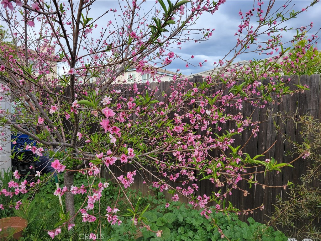 https://media.crmls.org/medias/a4299f39-a573-4ca8-b458-a0785aadc139.jpg?preset=X-Large