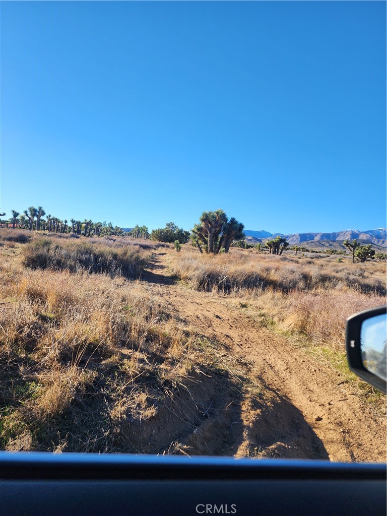 MLS #CV25255822 image #31
