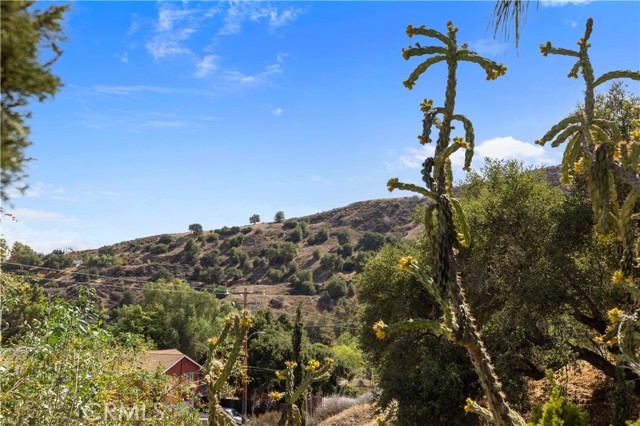 Image 23 of 39 For 29027 Val Verde Road