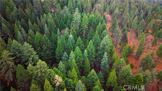 Detail Gallery Image 14 of 22 For 5435 Pine Ridge, Grizzly Flats,  CA 95636 - – Beds | – Baths