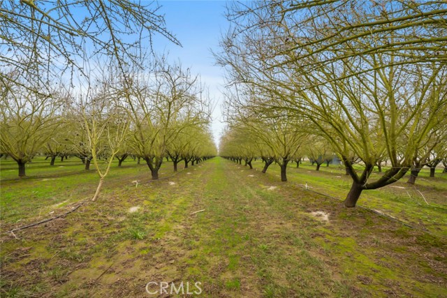 Detail Gallery Image 38 of 47 For 16221 Carrolton, Escalon,  CA 95320 - – Beds | – Baths