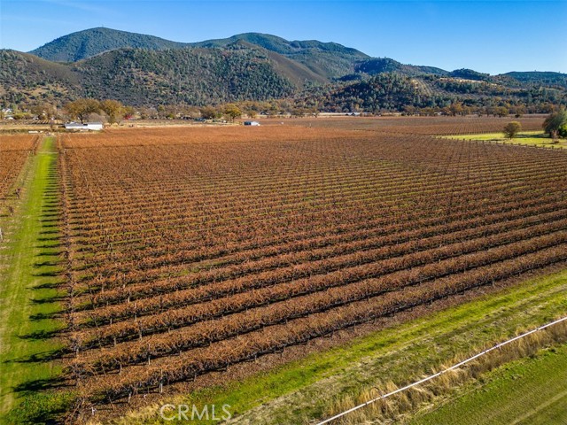 Detail Gallery Image 10 of 26 For 4150 Gaddy Ln, Kelseyville,  CA 95451 - – Beds | – Baths