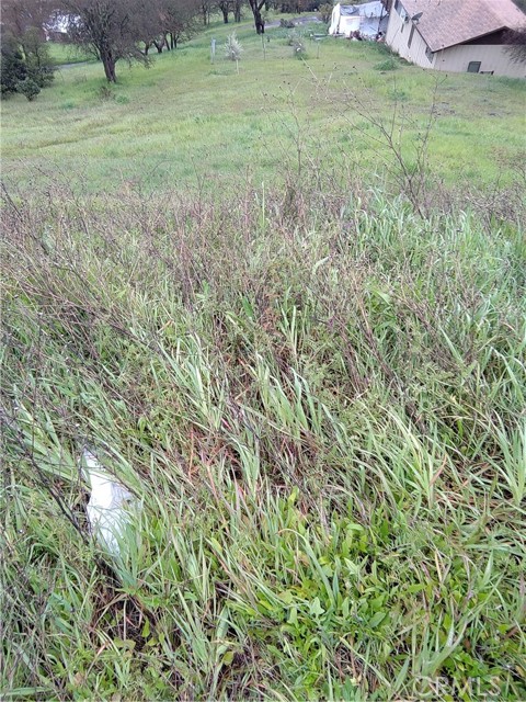 12715 High Valley Road, Clearlake Oaks, CA, 95423 12715 High Valley Road, Clearlake Oaks, CA, 95423