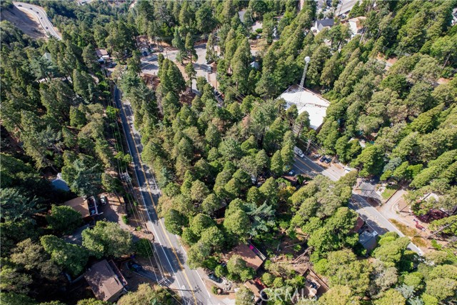 0 Crest Forest Drive, Crestline, California 92325, ,Land,For Sale,0 Crest Forest Drive,CRCV24039397